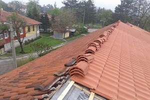 Rudovci