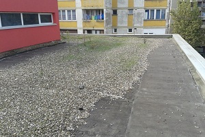 Sabac