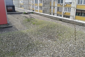 Sabac