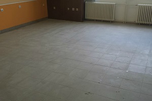 elektrana2015